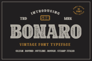 Bonaro Family: A Vintage Display Font for Campaigns