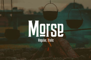 Morse: A Real-World Designer Review