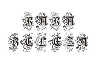 Rara Beleza: A Premium Blackletter Font for Web Design