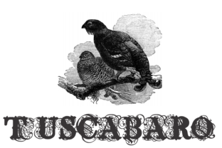 Tuscabaro: A Distinctive Display Font for Editorial Design